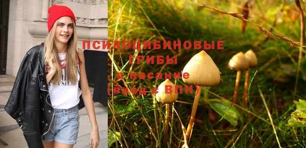 прущие крисы Зеленокумск