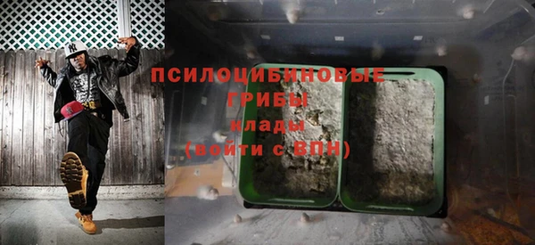 прущие крисы Зеленокумск